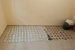 102026617157624158847
