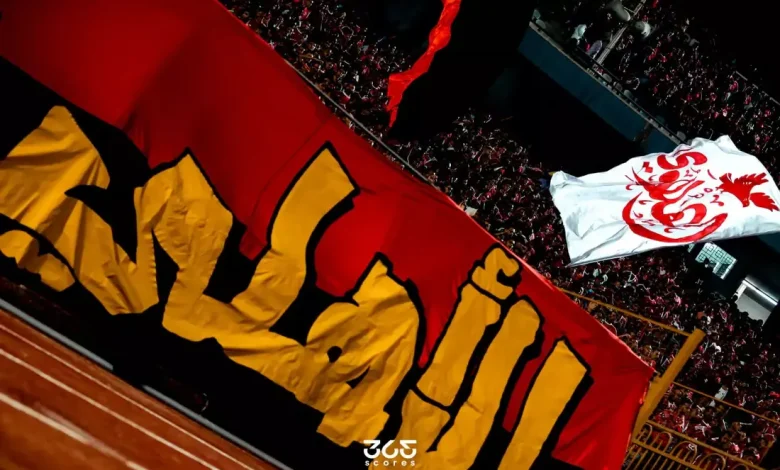 5972005699847201047-780x470-3